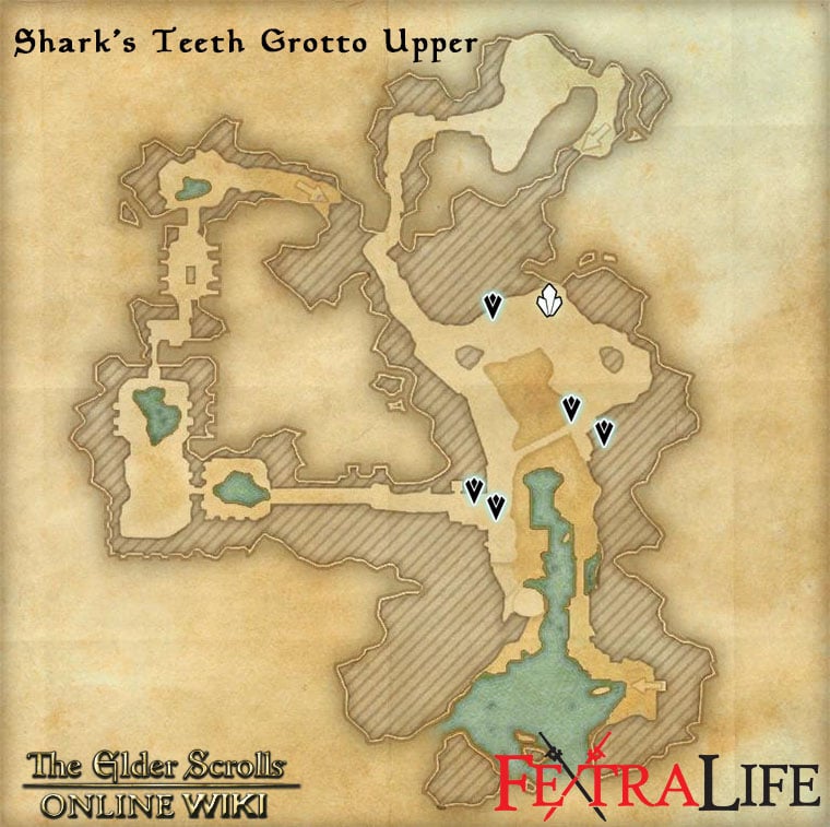 Shark S Teeth Grotto Elder Scrolls Online Wiki