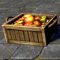 basket_of_tomatoes
