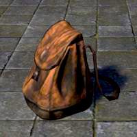 common_pack_backpack