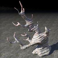 coral_formation_tree_antler