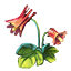 crafting_flower_columbine_r1.png