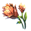 crafting_flower_mountain_flower_r1.png