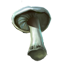 crafting_mushroom_white_cap_r1.png