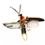 crafting_poisonmaking_reagent_torchbug_thorax.png
