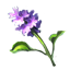crafting_water_plant_water_hyacinth_r1.png