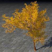 fabricant_tree_decorative_brass