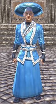 honor-guard-light-robe-eso-wiki-guide