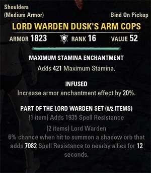 lord_warden_dusk's_arm_cops.jpg