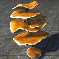 mushrooms_buttercake_stack