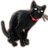pet black cat eso wiki guide