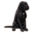 pet black morthal mastiff eso wiki guide
