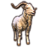 pet ninendava sacred goat eso wiki guide