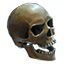 quest_head_monster_016.png