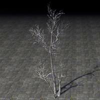 sapling_withered_thicket