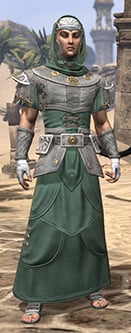 shield-of-senchal-homespun-male-robe-eso-wiki-guide