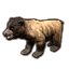 sunback bear cub eso wiki guide