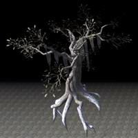 tree_strong_withered
