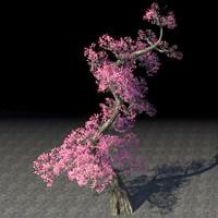 tree_vibrant_pink