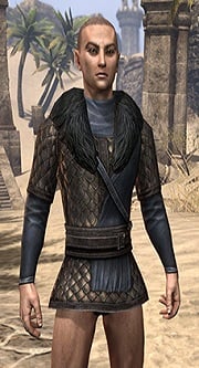 windhelm scale male eso wiki guide1