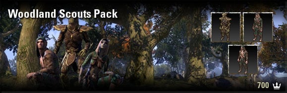 woodland_scouts_pack.jpg