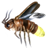 Insect Parts.png