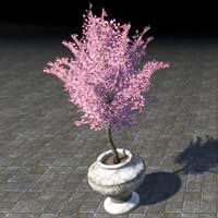 alinor_potted_plant_perpetual_bloom