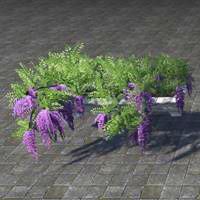 alinor_windowbox_purple_wisteria