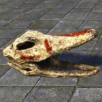 argonian_skull_crocodile