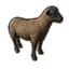ascadian umber sheep eso wiki guide