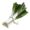 bittergreen