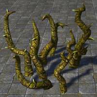 bloodthorn_vines_small