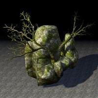 boulder_swampy_growth