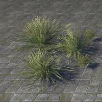 bushes_swordgrass_cluster