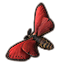 carmine wood moth eso wiki guide