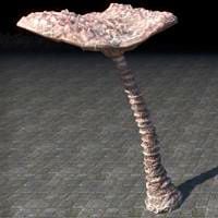coral_formation_tree_capped