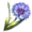 /file/Elder-Scrolls-Online/corn_flower.png