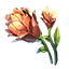 crafting_flower_mountain_flower_r1.png