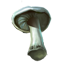 crafting_mushroom_white_cap_r1.png