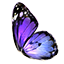 crafting_poisonmaking_reagent_butterfly_wing