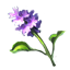 crafting_water_plant_water_hyacinth_r1.png