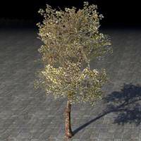 fabricant_tree_decorative_electrum