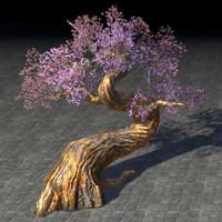 fabricant_tree_miniature_cherry_blossom