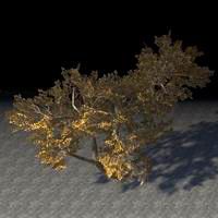 fabricant_trees_clustered_maple