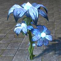 flowers_blue_starbloom