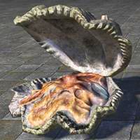 giant_clam_ancient