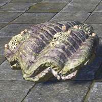 giant_clam_sealed