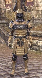 honor-guard-heavy-eso-wiki-guide
