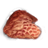 infected flesh material