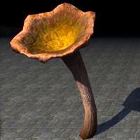 mushroom_huge_chanterelle