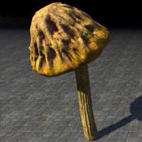 mushroom_spongecap_button